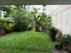 Recreation Lane (D19), Terrace #569040221